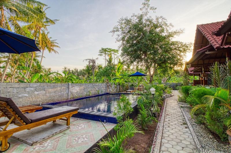 Asoka Bungalows - Aktivite