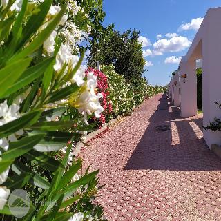 Aldeamento da Prainha fotoÄŸrafÄ±