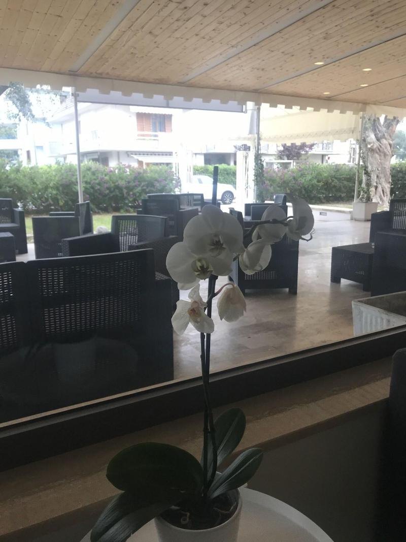 Hotel Royal - Restoran