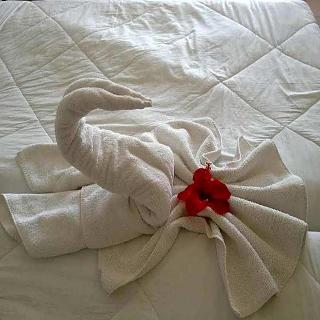 Hotel Aurora fotoÄŸrafÄ±