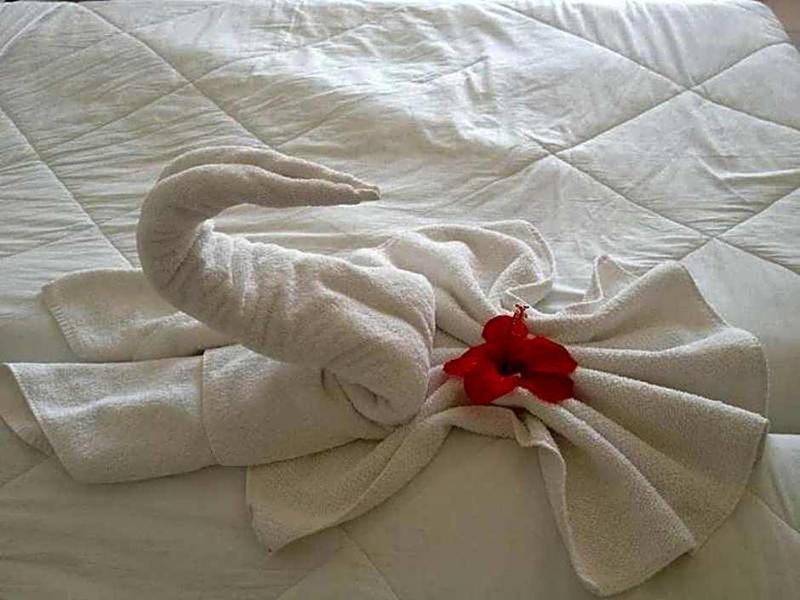 Hotel Aurora - Genel
