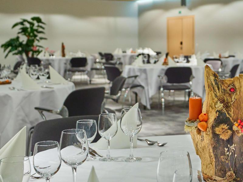 Radisson Blu Hotel, Lucerne - Toplantı