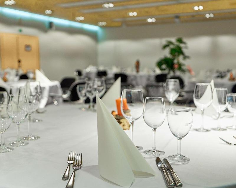 Radisson Blu Hotel, Lucerne - Toplantı