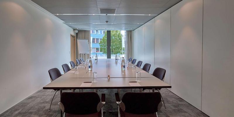 Radisson Blu Hotel, Lucerne - Toplantı