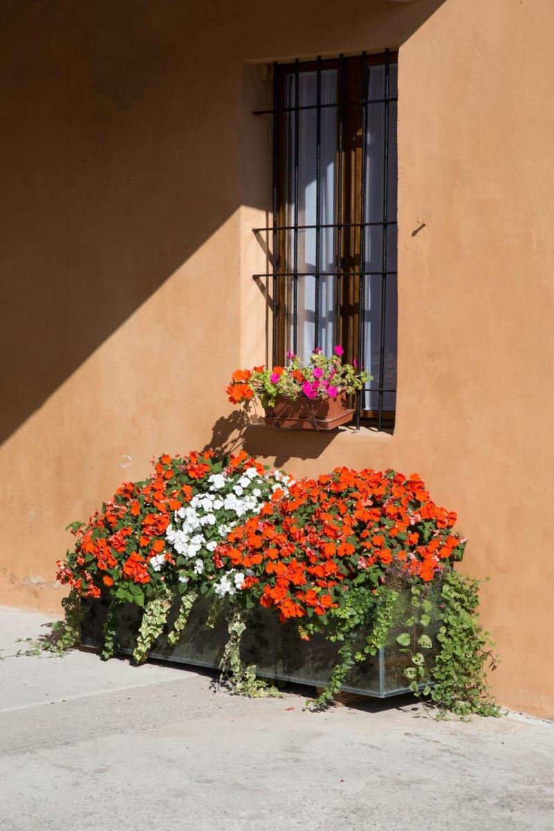 B&B Stradivari - Genel