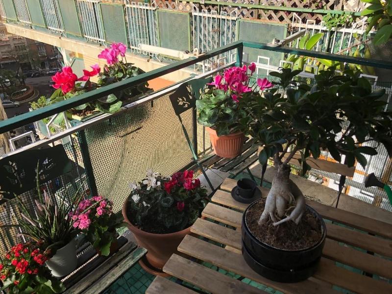 B&B da Vito a San Martino - Oda