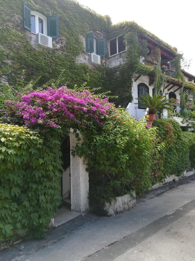 Casa Malò - Genel