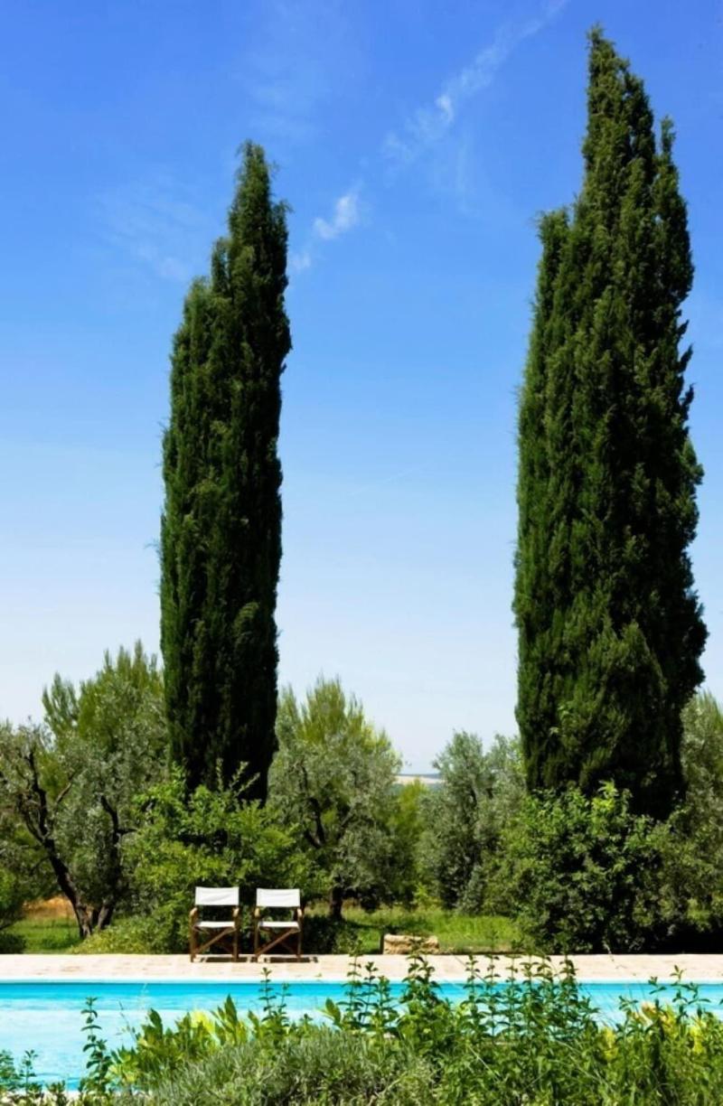 Cefalicchio B&B - Aktivite