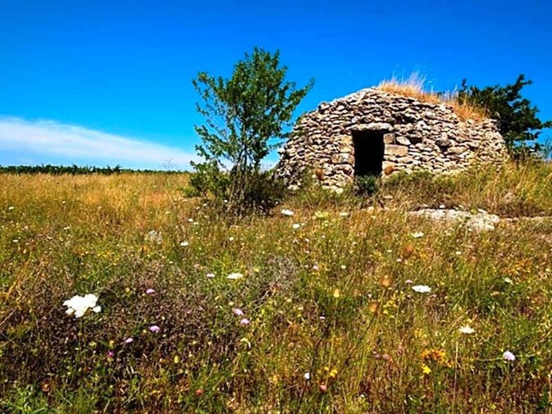 Cefalicchio B&B - Genel