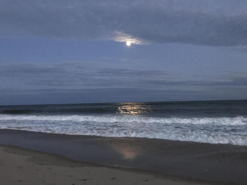 Ocean Surf Resort - Genel