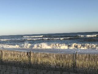 Ocean Surf Resort fotoÄŸrafÄ±