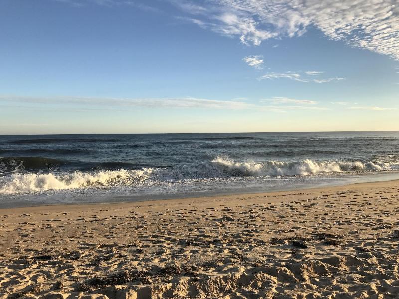 Ocean Surf Resort - Genel