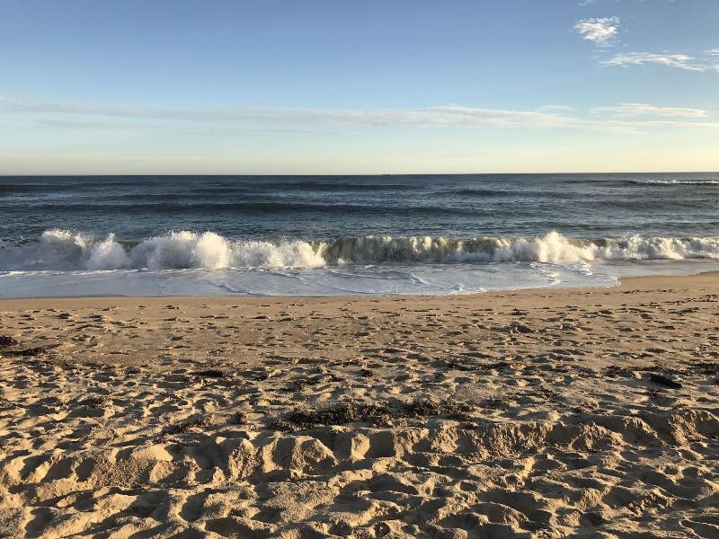 Ocean Surf Resort - Genel