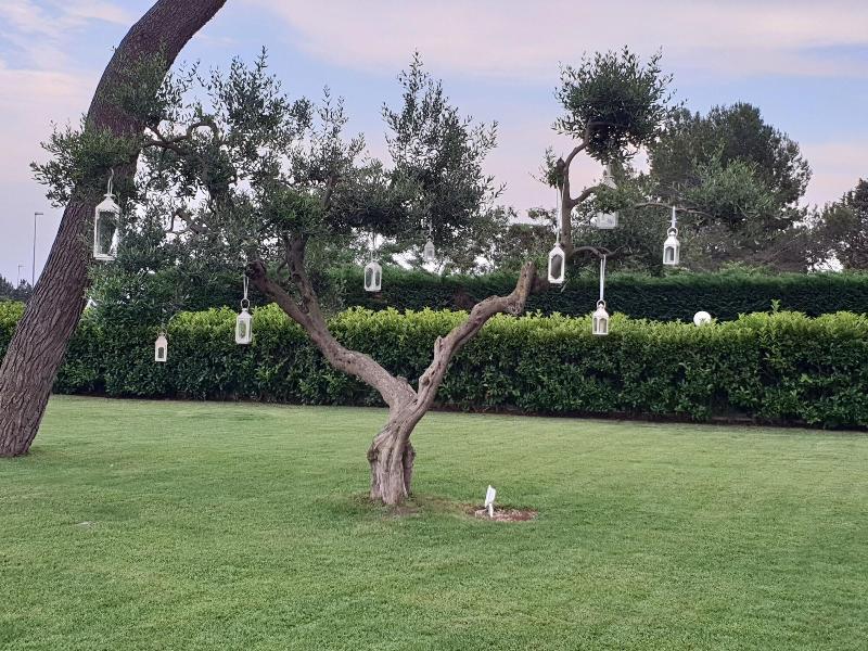 Villa Natia - Genel