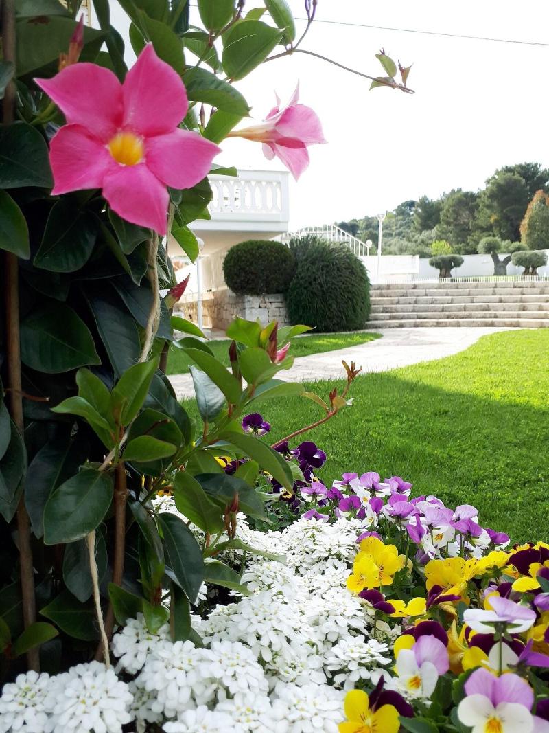 Villa Natia - Genel