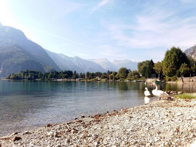 Ca' Elsa Bed & Breakfast - Genel