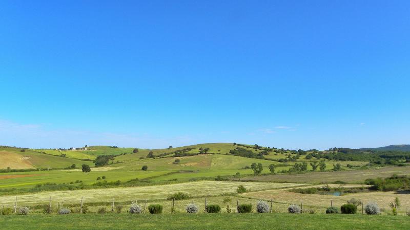 Macchiabuia - Genel