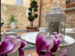 B&B Albornoz otel fotoğrafı