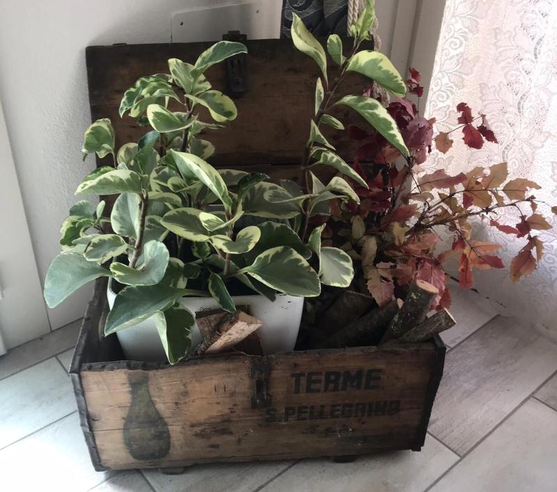 B&B La Garampa - Lobi