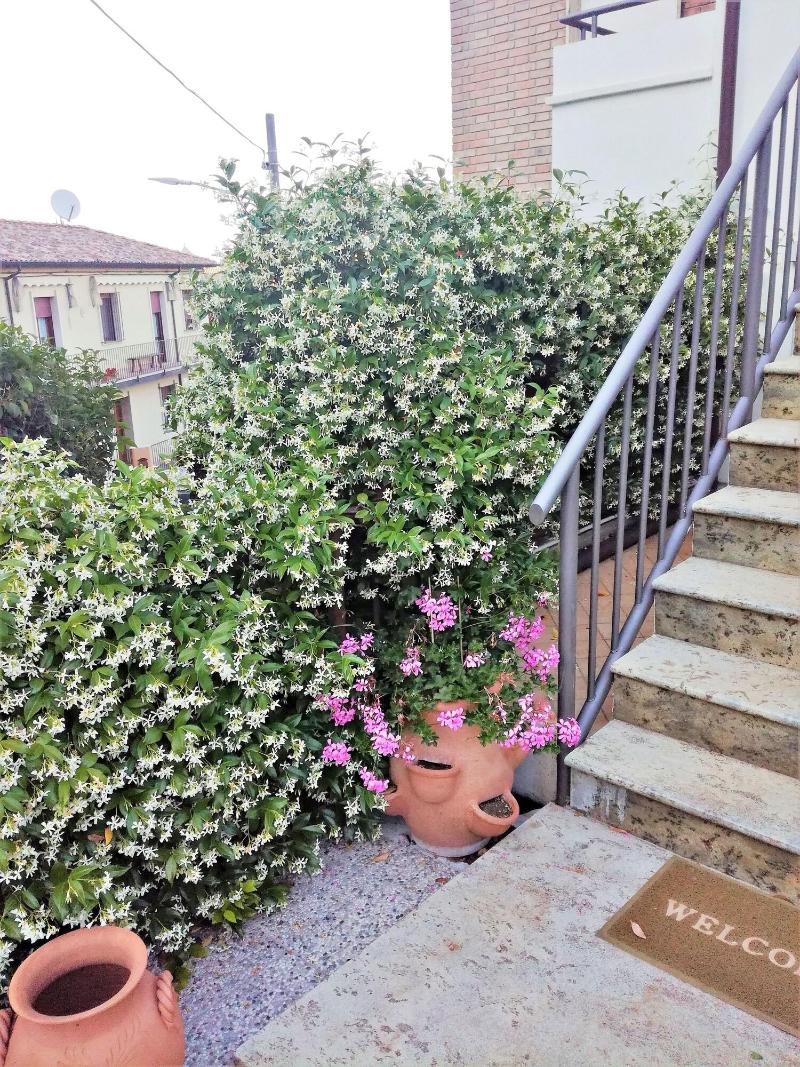 B&B La Garampa - Genel