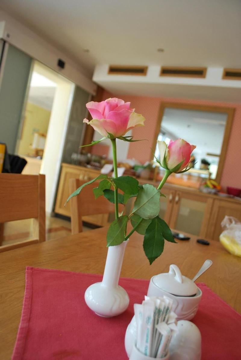 Hotel Zachs - Restoran
