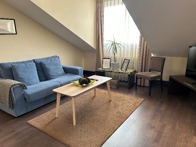 Villa Hotel Frankfurt by MZ Hotel Collection - Oda