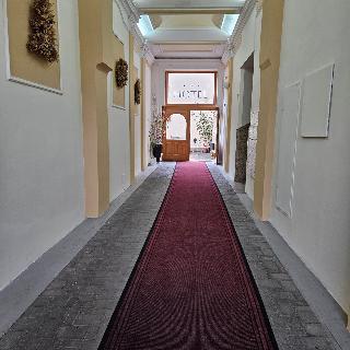 Claris fotoÄŸrafÄ±