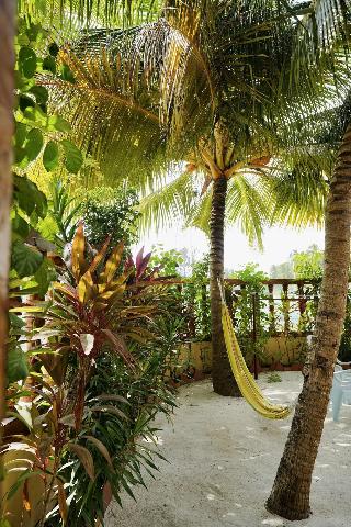 Veli Beach Inn fotoÄŸrafÄ±