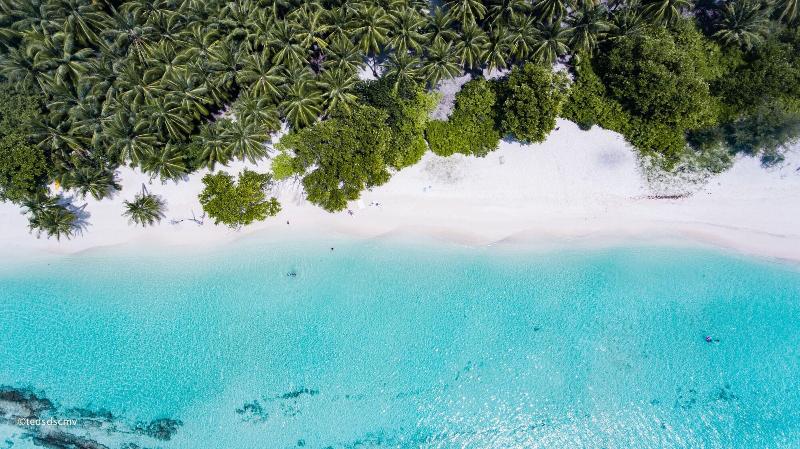 Veli Beach Inn - Genel