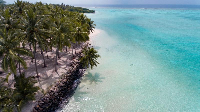 Veli Beach Inn - Genel
