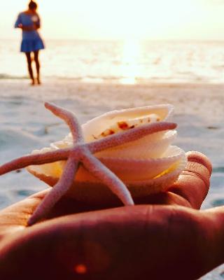 Veli Beach Inn fotoÄŸrafÄ±