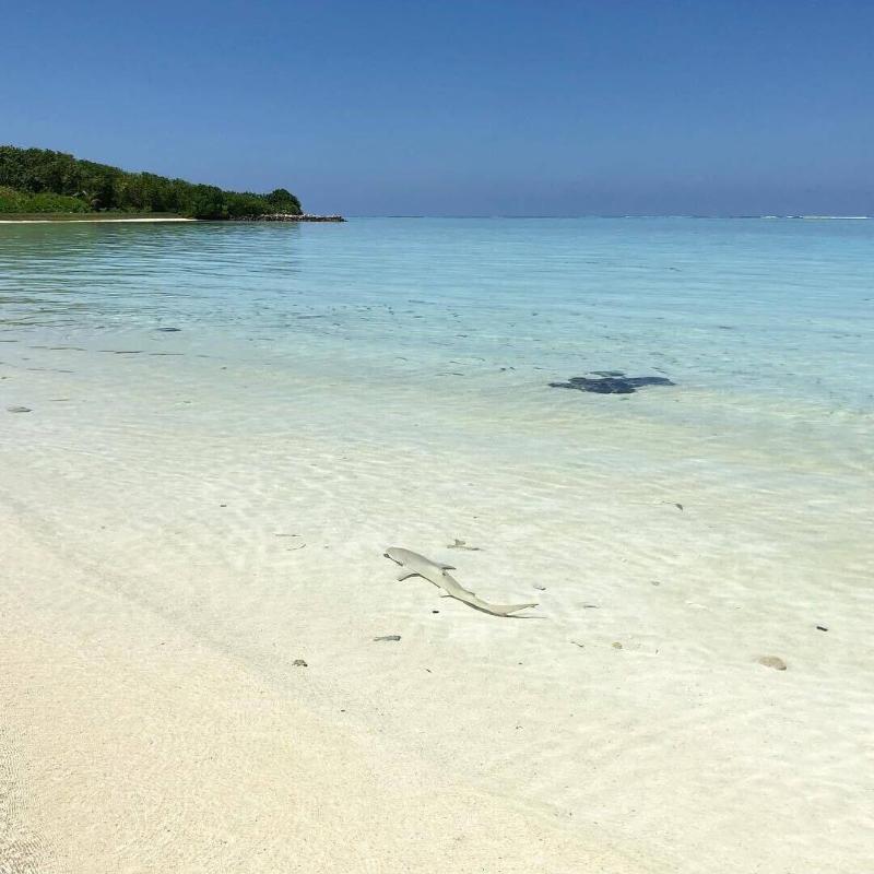 Veli Beach Inn - Plaj