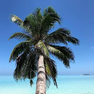 Veli Beach Inn fotoÄŸrafÄ±