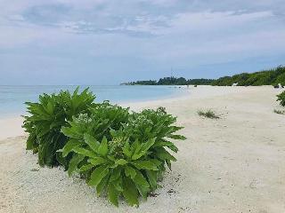 Veli Beach Inn fotoÄŸrafÄ±