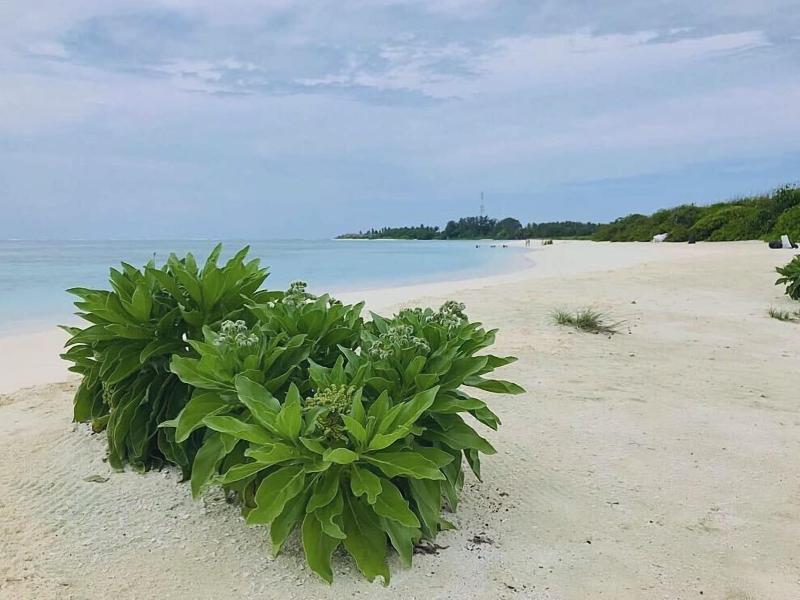 Veli Beach Inn - Plaj