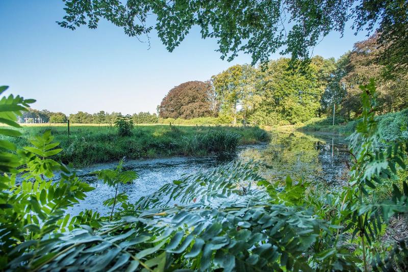 Hotel Ernst Sillem Hoeve - Genel