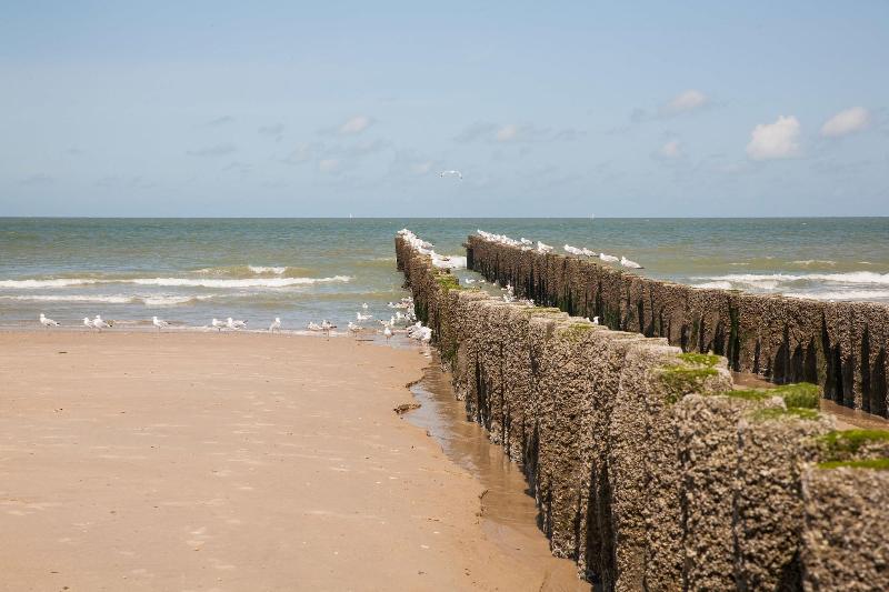 Domburg4You - Plaj