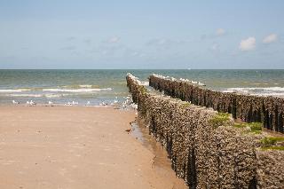 Domburg4You fotoÄŸrafÄ±