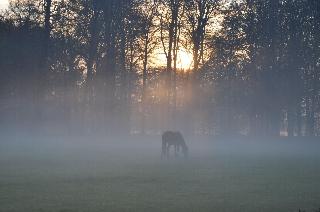 Parc Broekhuizen fotoÄŸrafÄ±