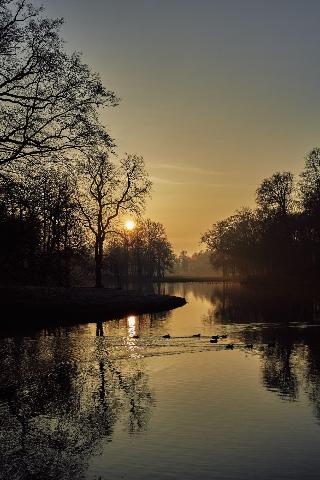 Parc Broekhuizen fotoÄŸrafÄ±
