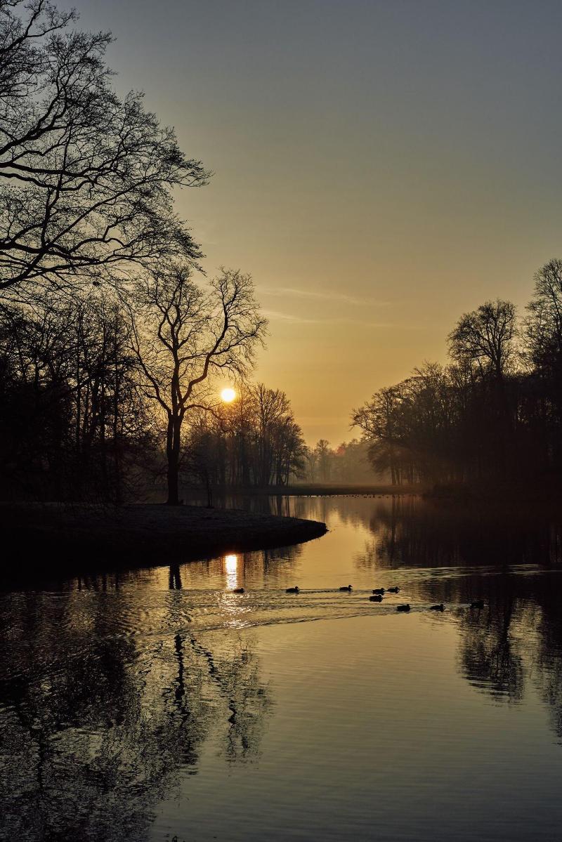 Parc Broekhuizen - Genel