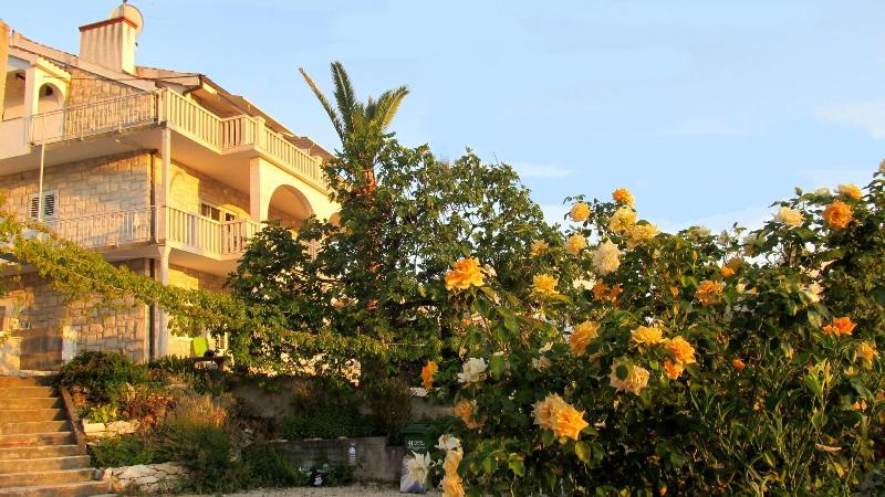 Villa Pape - Genel