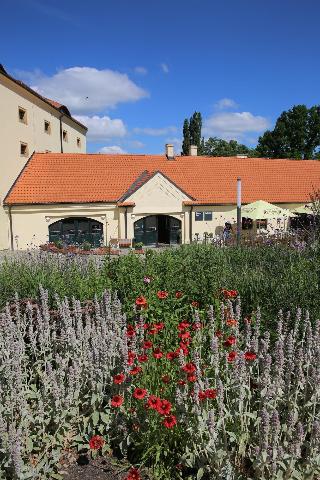Pytloun Chateau Hotel Ctenice fotoÄŸrafÄ±