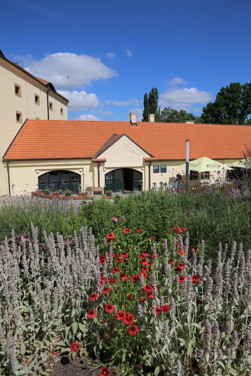 Pytloun Chateau Hotel Ctenice - Genel