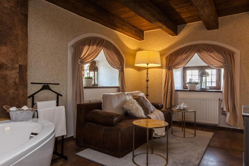 Pytloun Chateau Hotel Ctenice - Oda