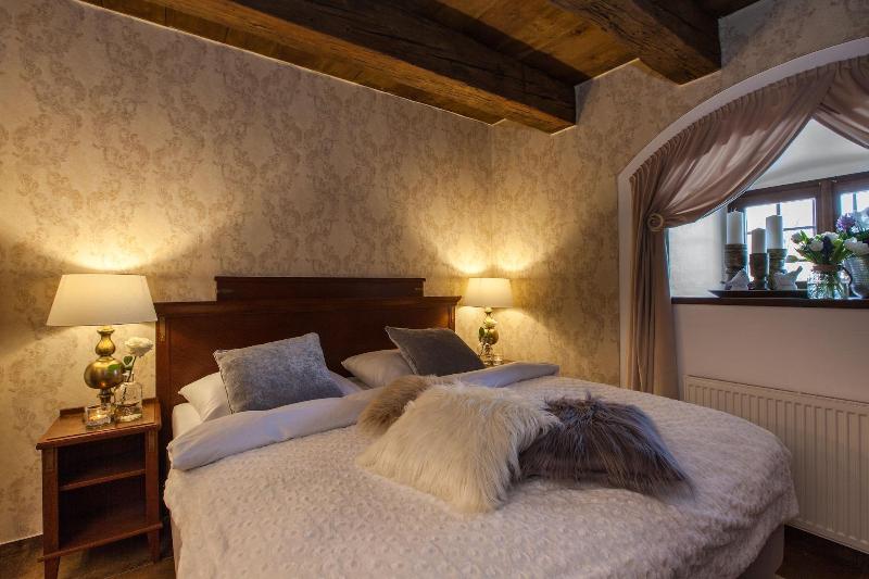 Pytloun Chateau Hotel Ctenice - Oda