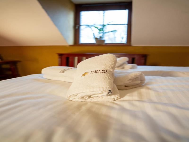 Hotel Horní Dvůr - Genel