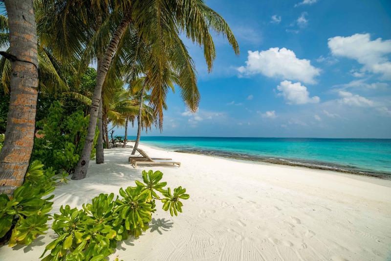 Fiyavalhu Maldives - Plaj