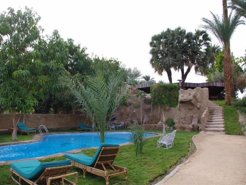 Al Baeirat Hotel - Aktivite