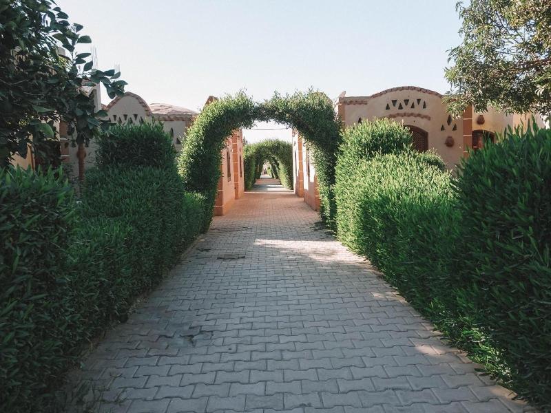 Al Baeirat Hotel - Genel